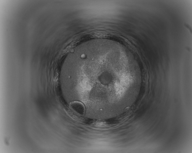 X0000100220507200806061348