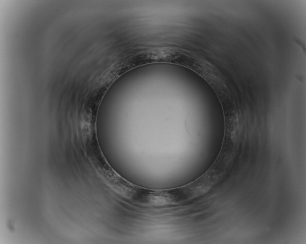 X0000100220510200806061348