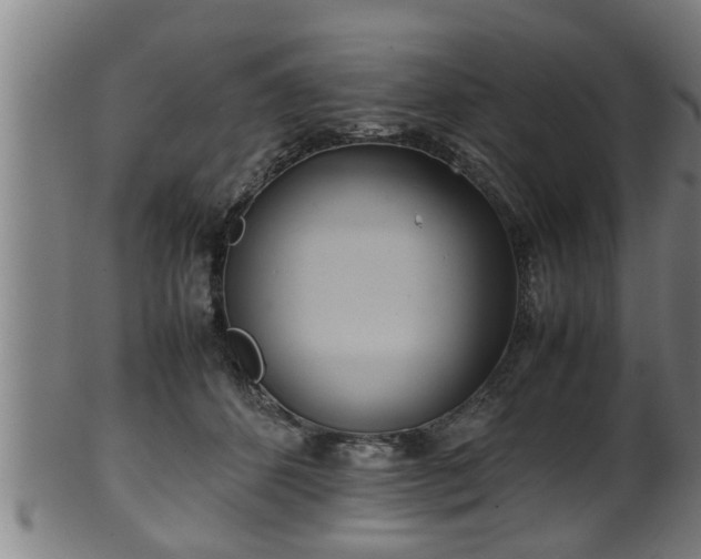 X0000100220512200806061348