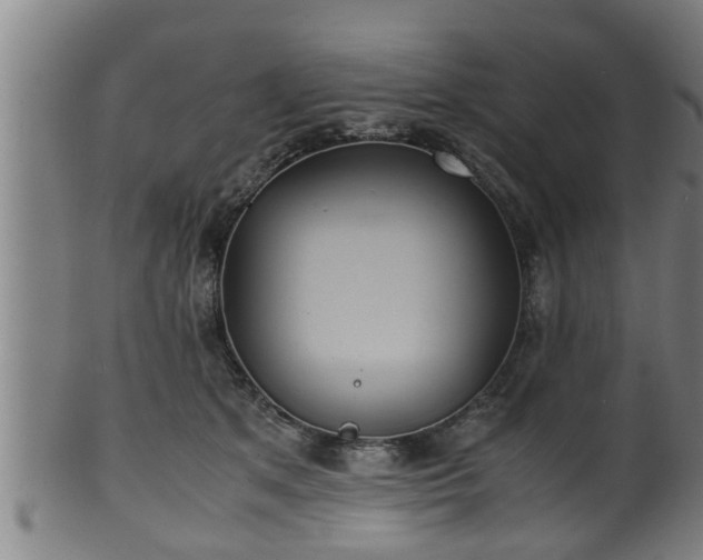 X0000100220513200806061348