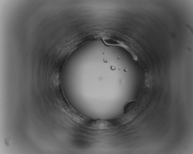 X0000100220514200806061348