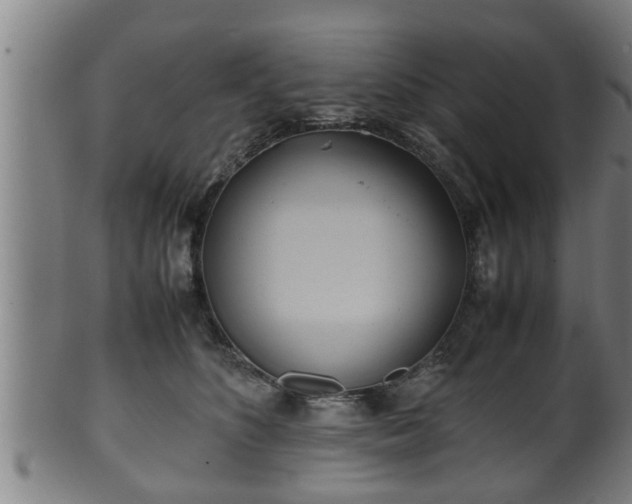 X0000100220516200806061348