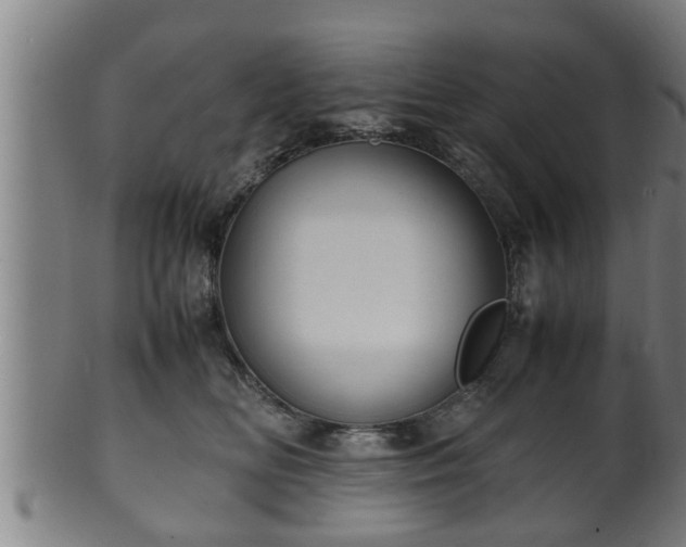 X0000100220518200806061348