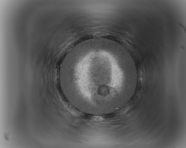 X0000100220519200806061348