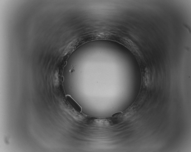 X0000100220520200806061348