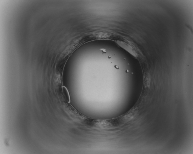 X0000100220521200806061348