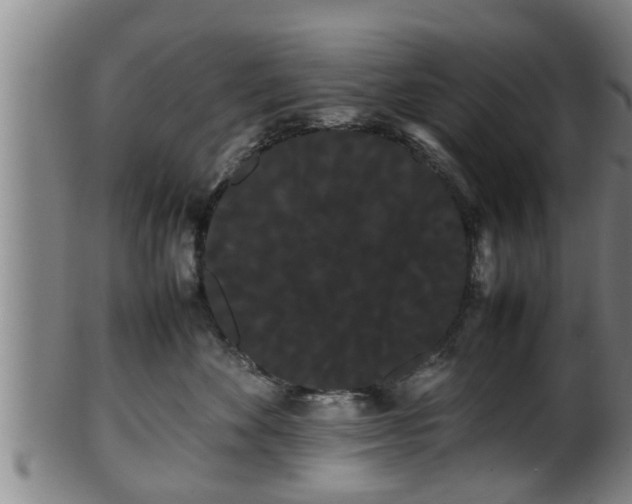 X0000100220524200806061348