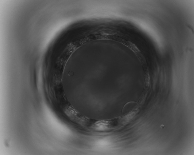 X0000100220526200806061347