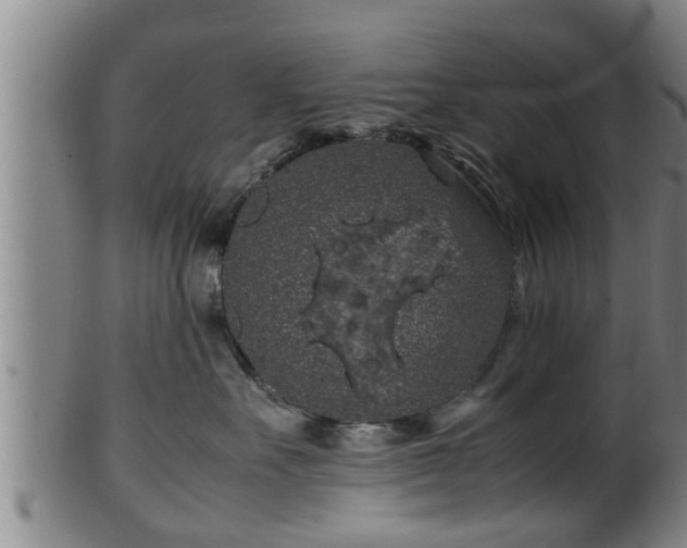 X0000100220527200806061347