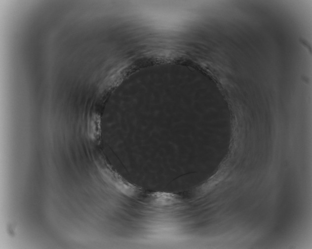 X0000100220528200806061347