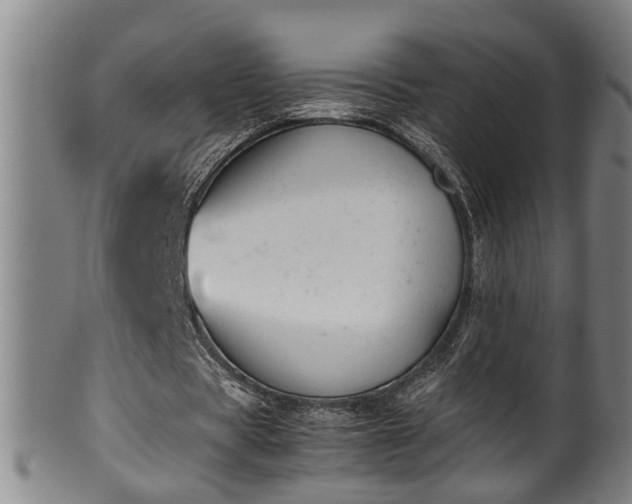 X0000100220529200806061347