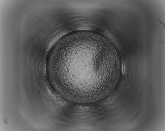 X0000100220531200806061347