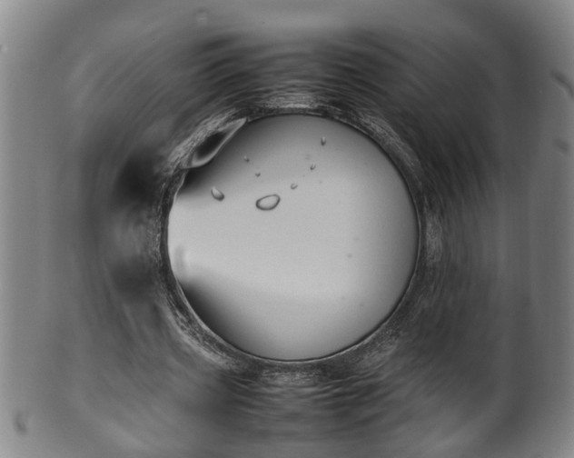 X0000100220533200806061347