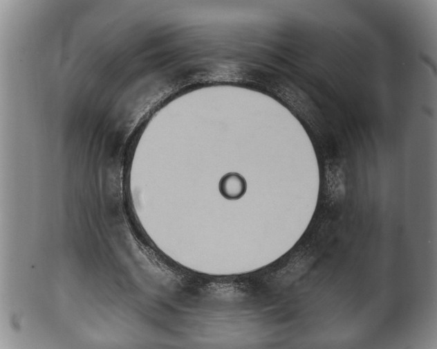 X0000100220534200806061347