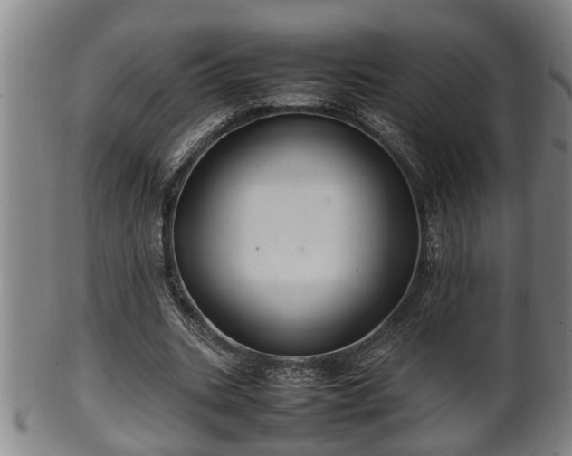 X0000100220535200806061347