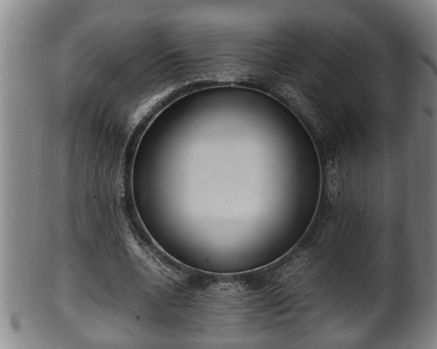 X0000100220536200806061347