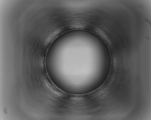 X0000100220537200806061347