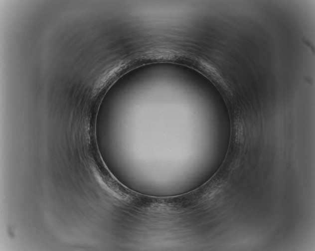 X0000100220538200806061347