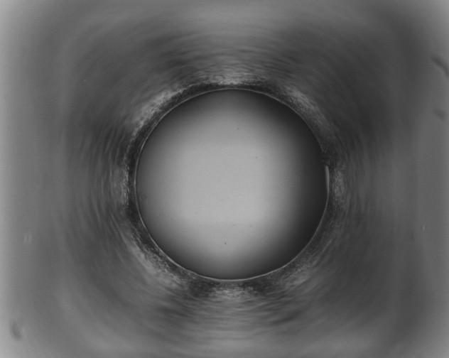 X0000100220540200806061347