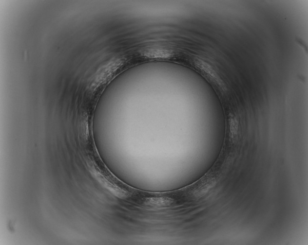 X0000100220541200806061347