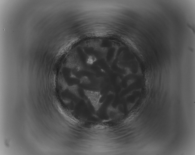 X0000100220542200806061347