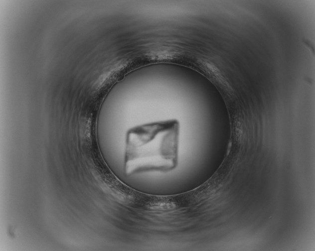 X0000100220543200806061347