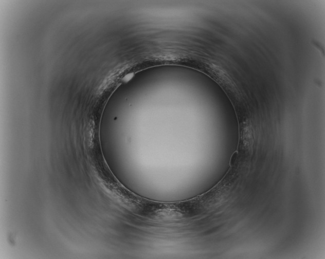 X0000100220544200806061347