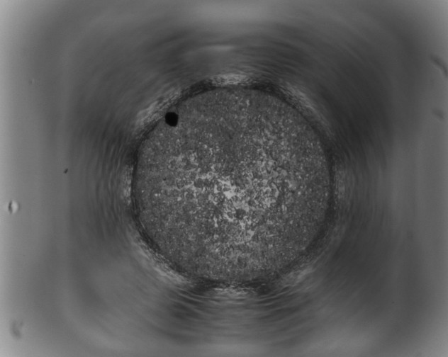 X0000100220545200806061347