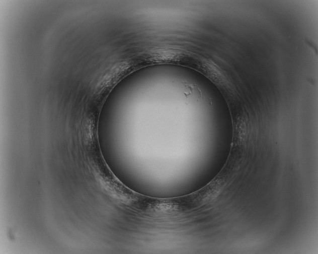 X0000100220546200806061347