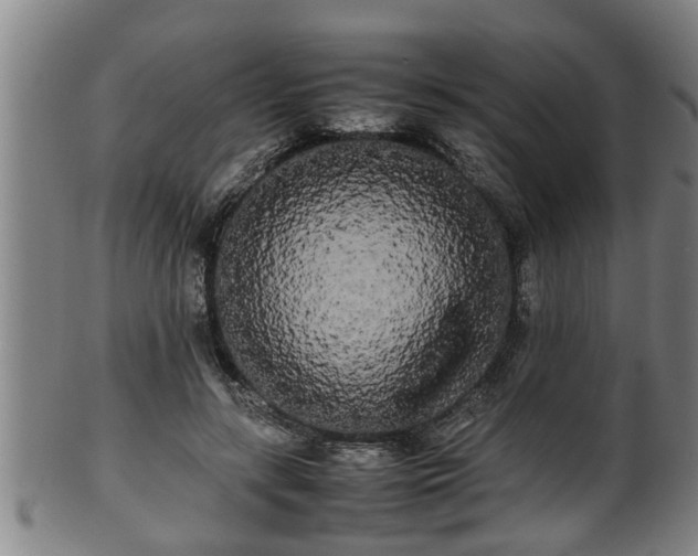 X0000100220547200806061347