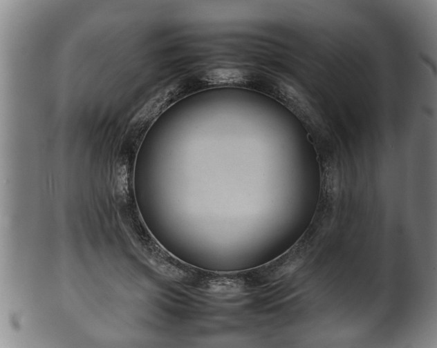 X0000100220549200806061347