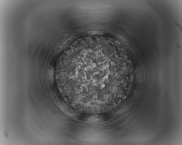 X0000100220550200806061347