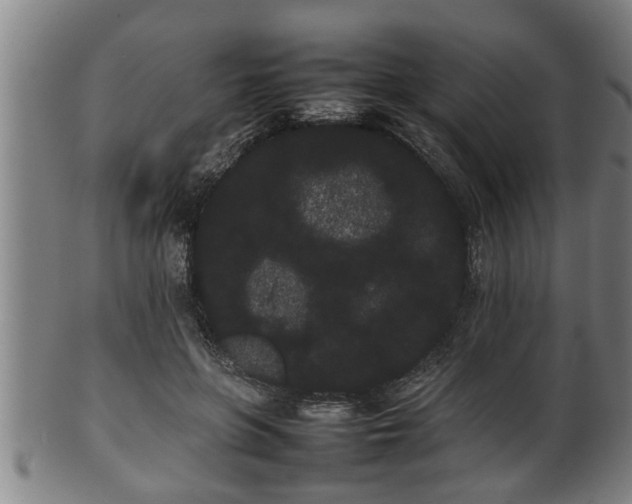 X0000100220551200806061347