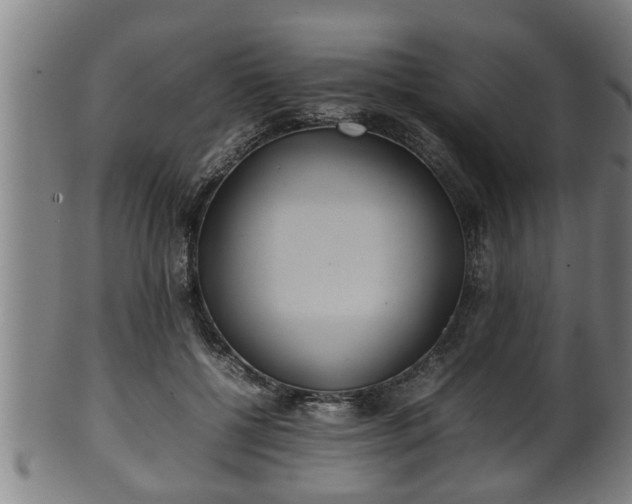 X0000100220552200806061347