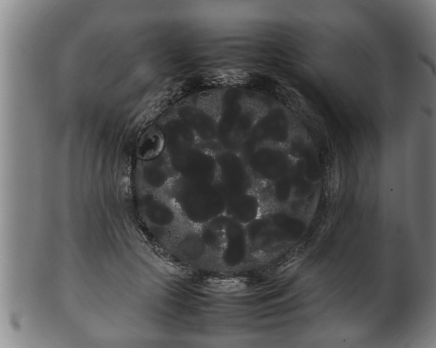 X0000100220553200806061347