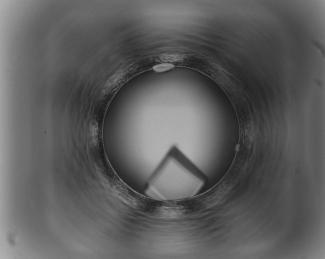 X0000100220556200806061347