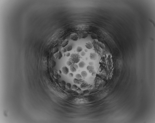 X0000100220557200806061347