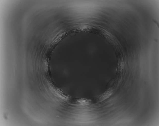 X0000100220558200806061347