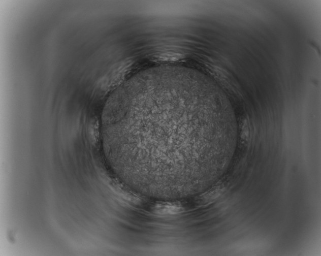 X0000100220559200806061347