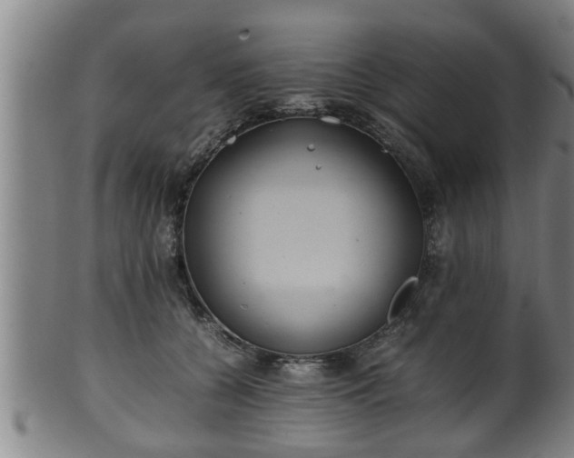 X0000100220560200806061347