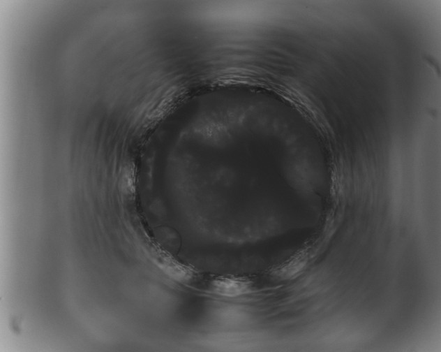 X0000100220561200806061347