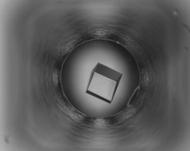 X0000100220562200806061347