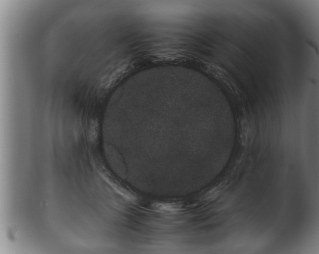 X0000100220563200806061347