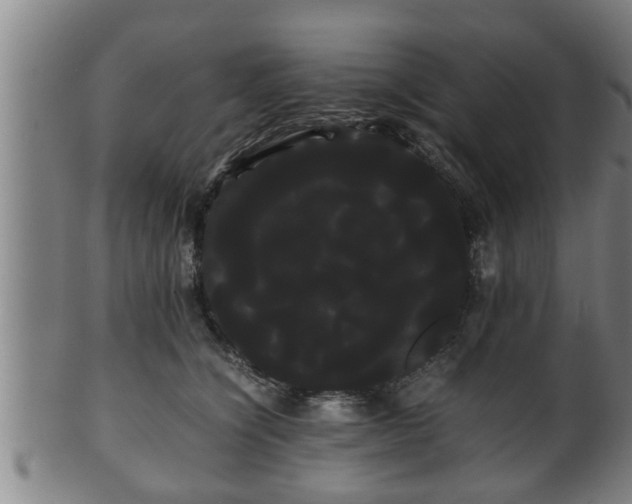 X0000100220564200806061347