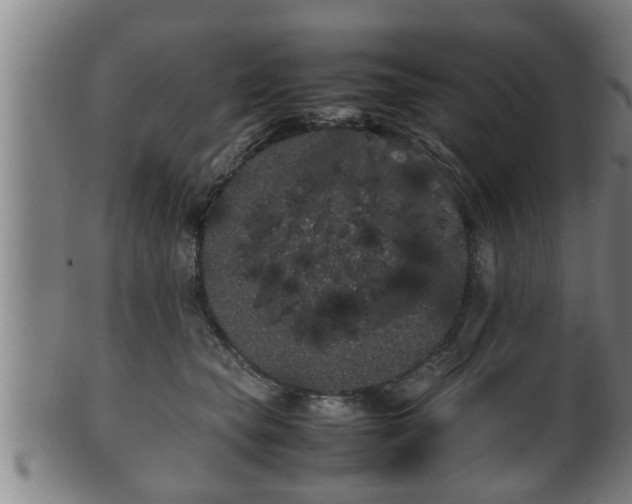 X0000100220565200806061347