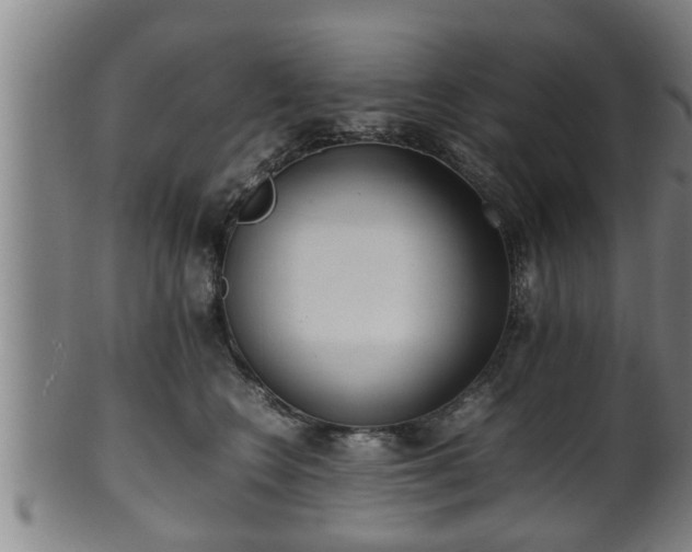 X0000100220566200806061347