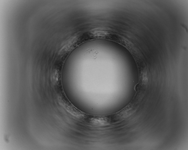 X0000100220567200806061347