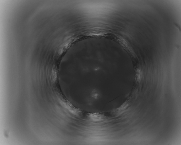 X0000100220568200806061347