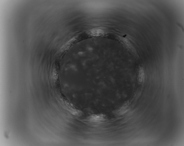 X0000100220569200806061347