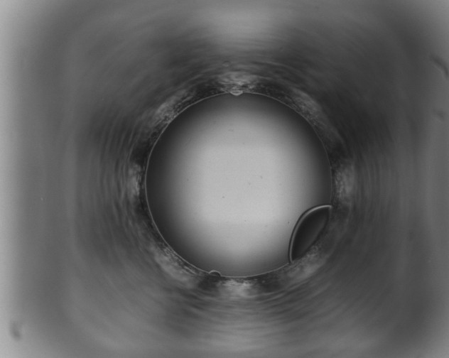 X0000100220570200806061347